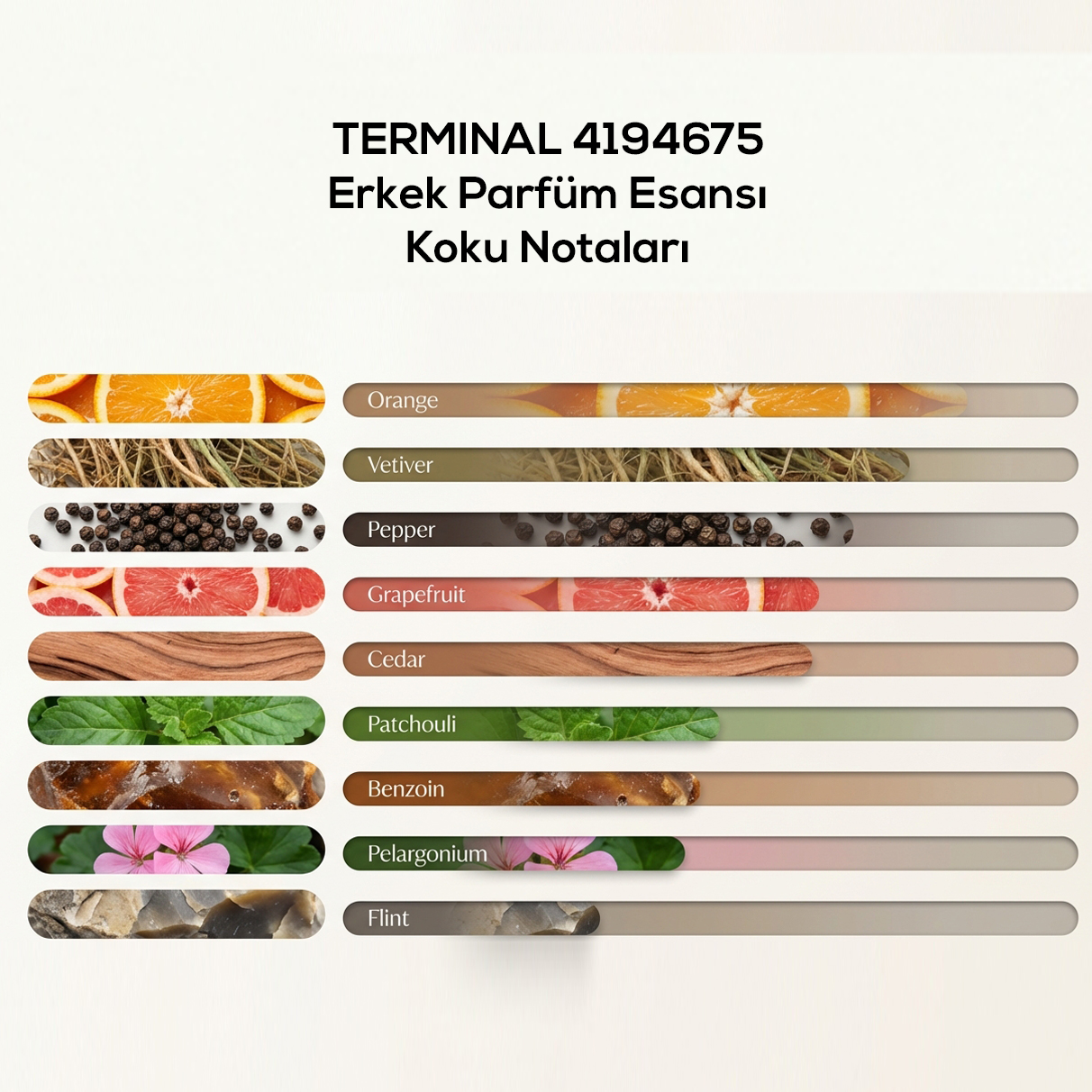 TERMINAL 4194675 Erkek Parfüm Esansı (Kendi Parfümünü Kendin Yap)